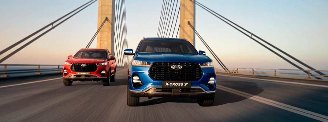 Купить XCITE в Сургуте